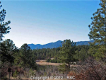 348 Raspberry Ln Monument, CO 80132 - Image 155971