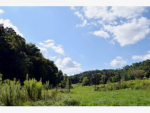 Lot 4 Big Hill Rd Mooresburg, TN 37811 - Image 160998