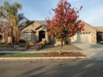 15908 W El Mar Ave Kerman, CA 93630 - Image 173077