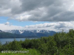 36286 Wild Haven Road Homer, AK 99603 - Image 175446