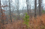 2050 New County Line Rd Sylacauga, AL 35151 - Image 196036