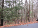 Lot 6 Vinton Road Holland, MA 01521 - Image 208735