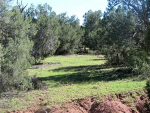 202 Cathedral Valley Ash Fork, AZ 86320 - Image 210875