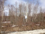 12729 W Birch Road Big Lake, AK 99652 - Image 212925