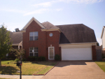 9811 Dogwood Ct Eas Olive Branch, MS 38654 - Image 214794