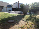 3105 W Vassar Drive Visalia, CA 93277 - Image 218299