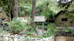 9352 Canyon Dr Forest Falls, CA 92339 - Image 221572