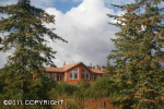 860 Goldberry Court Homer, AK 99603 - Image 222612