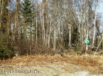 5453 S Kenaka Bena Loop Big Lake, AK 99652 - Image 228584