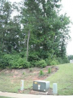 100 Doveland Court Lot 38 Block E Cotton Creek Enterprise, AL 36330 - Image 228959