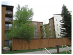 300 E Lionshead Cir #407 Vail, CO 81657 - Image 229488