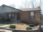 16 Telluride Dr Saint Peters, MO 63376 - Image 230065