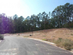 Lot 26 North Shores Benton, AR 72019 - Image 231477