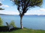 4758 Kachemak Drive Homer, AK 99603 - Image 234258