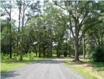 6373 FARM HOUSE RD Ravenel, SC 29470 - Image 234221