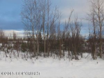 13866 W Moonrise Drive Big Lake, AK 99652 - Image 234981