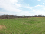 43.79 Ac. Mate Allen Rd. Gainesboro, TN 38562 - Image 235155