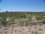 0 N GRANTHAM RANCH Road Wickenburg, AZ 85390 - Image 236151