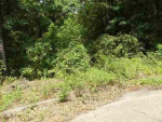 LOT 19 HORNSBY Ozark, AL 36360 - Image 236438