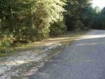 Lot 14 Reyes Strasse Ozark, AL 36360 - Image 236437