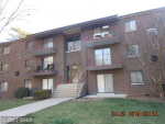 6210 Edsall Rd Unit 304 Alexandria, VA 22312 - Image 236483