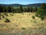 LOT 997 RUNNING Y PHASE 12 Klamath Falls, OR 97601 - Image 236738