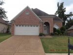 10243 Hamilton View Dr Cordova, TN 38016 - Image 236741