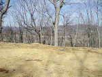 Lot 29 Proffit Ridge Mooresburg, TN 37811 - Image 240316