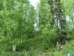 6069 S Shandra Circle Big Lake, AK 99652 - Image 240479