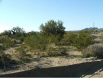 000 Douglas Yucca, AZ 86438 - Image 240553