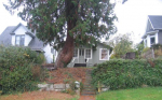 1430 Franklin Street Bellingham, WA 98225 - Image 242059