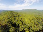 Tract 1 E Millers Cove Rd Walland, TN 37886 - Image 243120