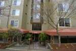 8745 Greenwood Ave N Apt 505 Seattle, WA 98103 - Image 245590