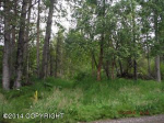 L1 Robin Hood Drive Anchorage, AK 99516 - Image 245725