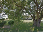 4Th East Moline, IL 61244 - Image 247434