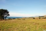 269 Calle Del Sol Way Bodega Bay, CA 94923 - Image 248720