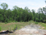 9705 AGILE CT, LOT 233 Waxhaw, NC 28173 - Image 251518