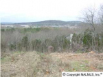 Greentree Trail lot 8/blk 5 Huntsville, AL 35802 - Image 253161