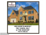 DAISY MEADOW DRIVE Ashburn, VA 20148 - Image 253862