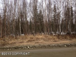 10723 W Forest Lake Drive Wasilla, AK 99654 - Image 254464