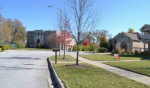 2419 Ravisloe Lane Homewood, IL 60430 - Image 255792