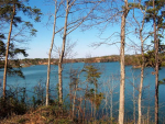 Lot 7 County Road 2021 Crane Hill, AL 35053 - Image 256570