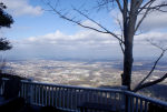 623 GRANDVIEW RD Lookout Mountain, TN 37350 - Image 259212