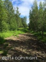 1625 W Edlund Road Wasilla, AK 99654 - Image 260661