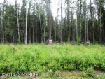 1391 W Woodpecker Circle Wasilla, AK 99654 - Image 260982