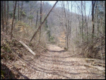 00 Little War Gap Rd Rogersville, TN 37857 - Image 261875