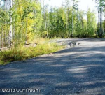 14955 W Wild Rose Circle Big Lake, AK 99652 - Image 263452