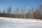 13653 W Klutina Drive Big Lake, AK 99652 - Image 263454