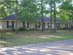 201 Stonington Dr Brandon, MS 39047 - Image 265715