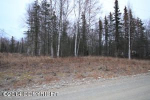 7445 N King Cove Drive Wasilla, AK 99654 - Image 266372